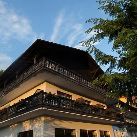 Wald-hotel Heppe Dammbach