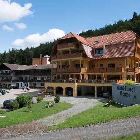Wald-hotel Heppe Dammbach