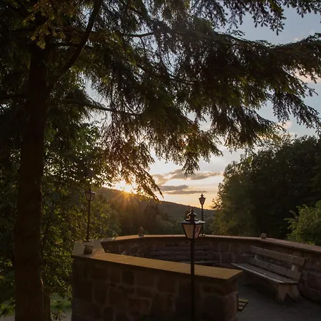 Wald-hotel Heppe מלון Dammbach