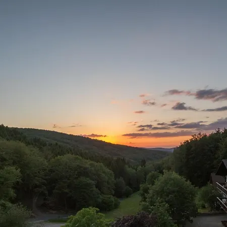 Wald-hotel Heppe מלון Dammbach