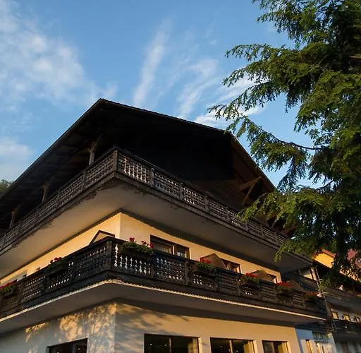 Wald-hotel Heppe Dammbach