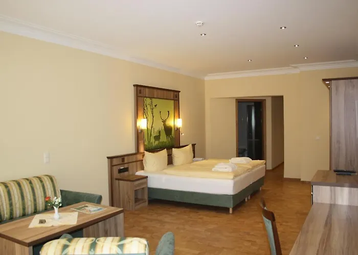 Hotel Wald-hotel Heppe Dammbach