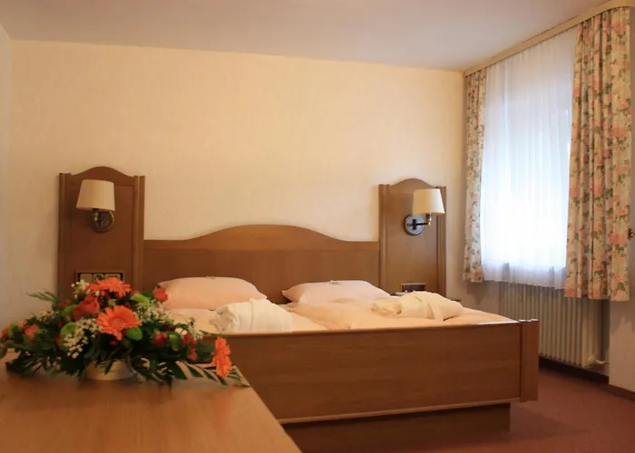 Wald-hotel Heppe Dammbach