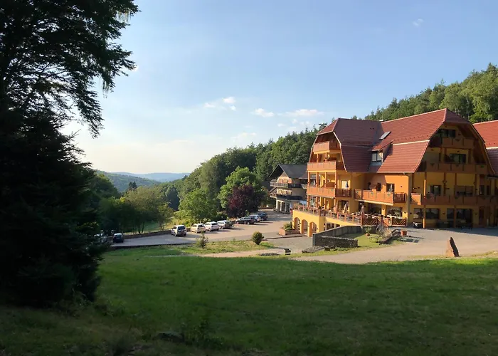Wald-hotel Heppe 3* Dammbach