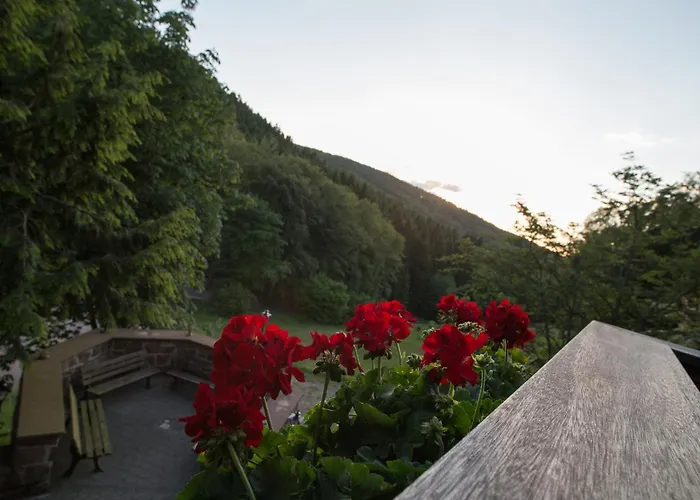 Hotel Wald-hotel Heppe 3*