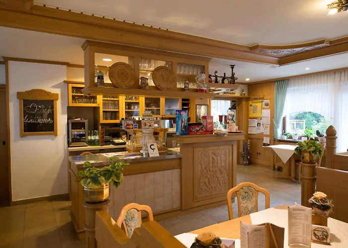 Wald-hotel Heppe Dammbach