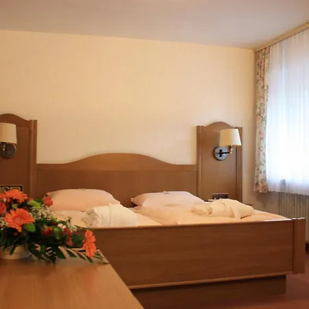 Wald-hotel Heppe Dammbach