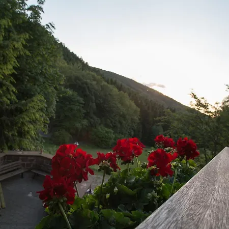 Szálloda Wald-hotel Heppe 3*