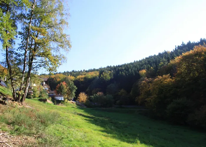 Wald-hotel Heppe