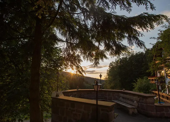 Wald-hotel Heppe ホテル Dammbach