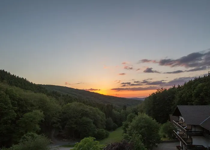 Wald-hotel Heppe Hotel Dammbach